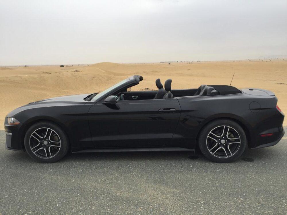 استئجار فورد موستانج